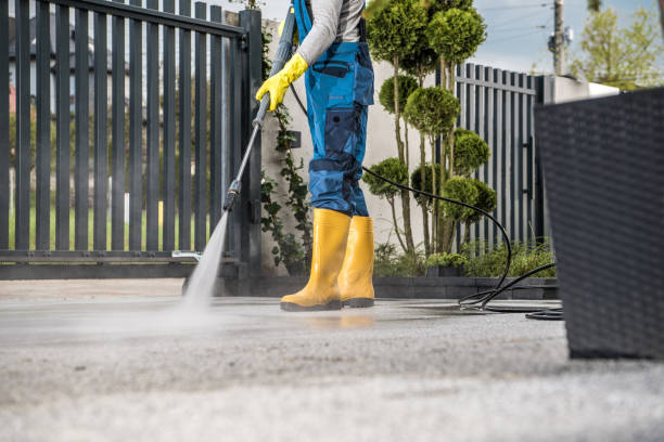 Best Graffiti Removal  in Fort Polk South, LA